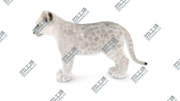 images/goods_img/20210312/3D White Baby Lion Rigged, Fur model/4.jpg